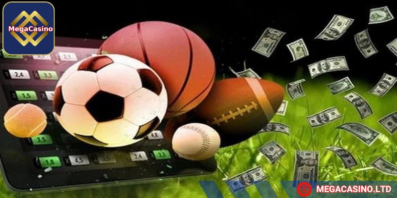 Định nghĩa cá độ trong thể thao