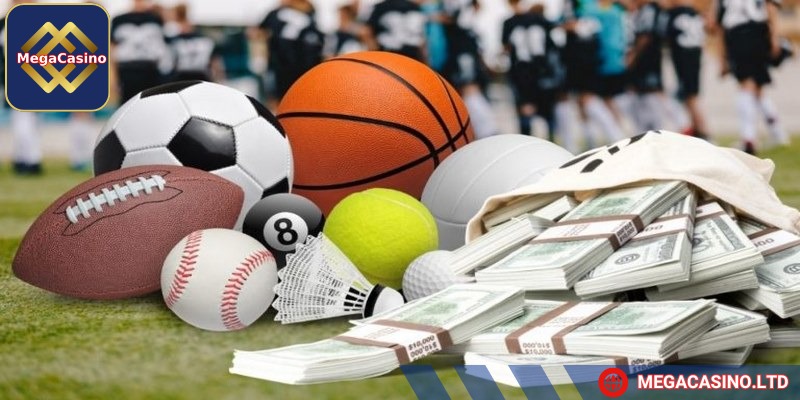 Nhiều sự lựa chọn hấp dẫn