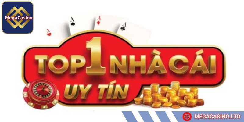 Tiêu chí về giấy phép hoạt động